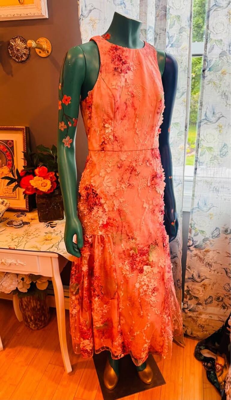 NWT Aidan Mattox by Adrianna Papell Pink 3D Floral Embroidered Dress Size 6 🌸✨